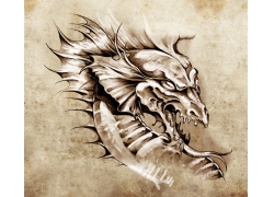 龙头骨架素描